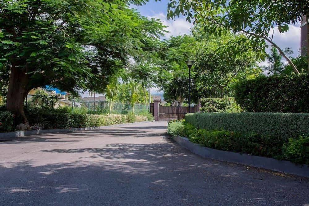 New Kingston Guest Apt At Sonoma Estate Экстерьер фото