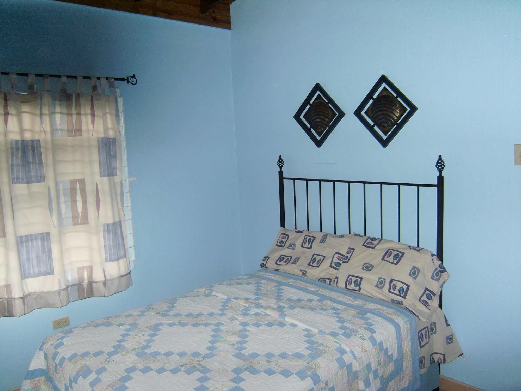 New Kingston Guest Apt At Sonoma Estate Экстерьер фото